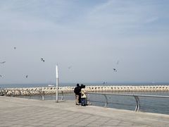 -东港音乐喷泉广场