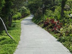 -厦门悦华酒店