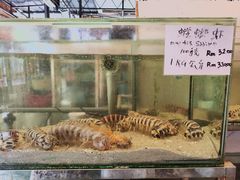 -大树下海鲜饭店