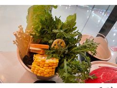 时蔬拼盘-汤岛涮小火锅(温州龙湾万达店)