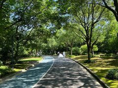 -吴淞炮台湾湿地森林公园烧烤区