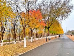 -永定河休闲森林公园