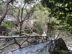 -大雁山风景区