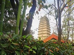 -西安博物院