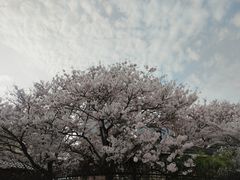 -五四广场