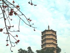 -深圳国际园林花卉博览园