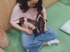 -藦茜花园宠物主题亲子互动体验馆(国顺东路店)