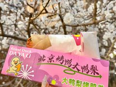 -大鸭梨烤鸭(望京店)