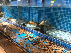 -蓝钻·国际美食海鲜自助百汇(西直门店)