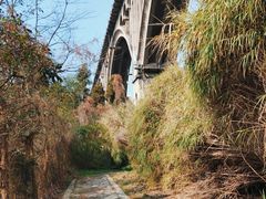 -贵阳市花溪国家城市湿地公园