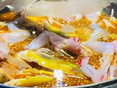 黄辣丁鲜鱼锅-小小河边鱼(天润城店)