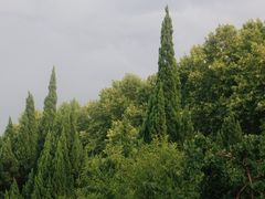 -洛阳市牡丹公园