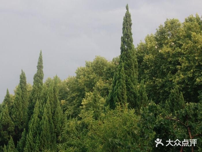 洛阳市牡丹公园图片