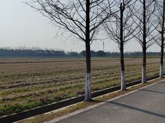-嘉北郊野公园