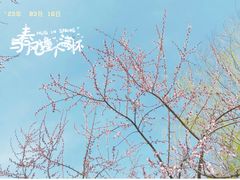 -三里河公园