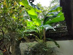 -秋霞圃