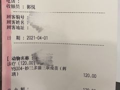 -宠爱国际动物医院· 猫科· 外科·中兽医(长白店)