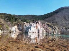 -树山生态村