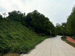 -南翠屏公园