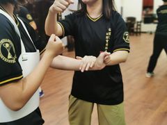 -温鉴良实用咏春拳