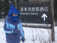 -喜来登采悦轩中餐厅