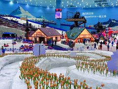 -广州热雪奇迹