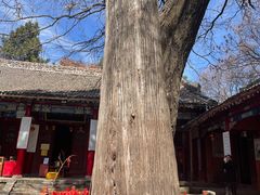 -少华山国家森林公园