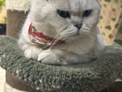 -小时光咖啡馆(北锣鼓巷店)