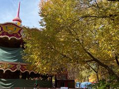 -哈尔滨文化公园