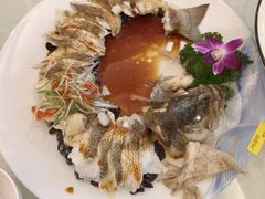 -博雅渔港·融合菜(维也纳国际大酒店)