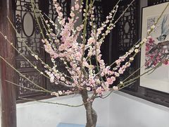 -无锡梅园公园