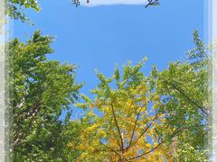 -KARN敢·春武里泰国小餐馆(版筑翠园店)