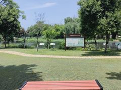 -金银湖国家城市湿地公园