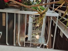 -湊湊火锅·茶憩(皇姑万象汇店)