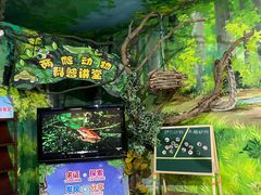 -广州长隆飞鸟乐园