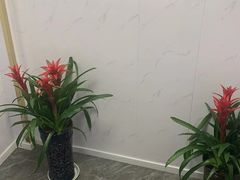 -通脉推拿足疗精油SPA连锁店(新亭东路8店)