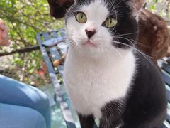 -喵屿·大理花园猫咖