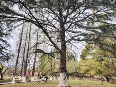 -花溪公园