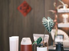 -溯洄咖啡VORTEX COFFEE