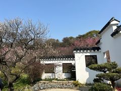 -无锡梅园公园