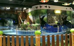 -哈尼鹿儿童乐园(兰州东瓯店)