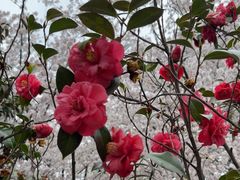 -玄武湖景区-情侣园游乐场