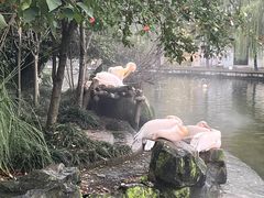 -成都动物园