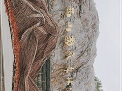 -北京西山国家森林公园