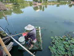 -水岸居湖景农家乐·阳澄湖大闸蟹