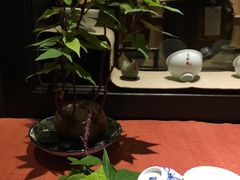 -白鹭原茶艺馆