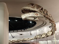 -自贡恐龙博物馆