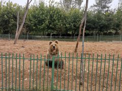 -秦皇岛野生动物园