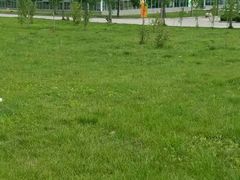 -曲江薰衣草庄园