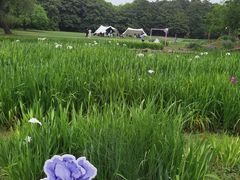 -共青国家森林公园-售票处